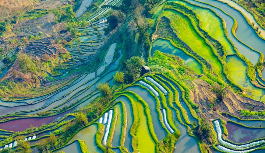 走进叶县TVC拍摄：解锁本地化场景与创意镜头的完美融合